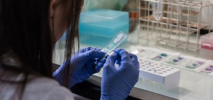 Cellule staminali: stimolazione wireless per rigenerare il midollo spinale