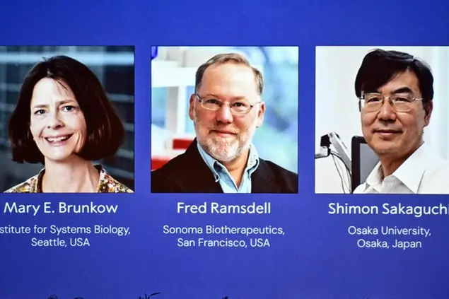 Il premio Nobel per la Medicina a tre scienziati che ci hanno dato una speranza per la cura delle malattie autoimmuni
