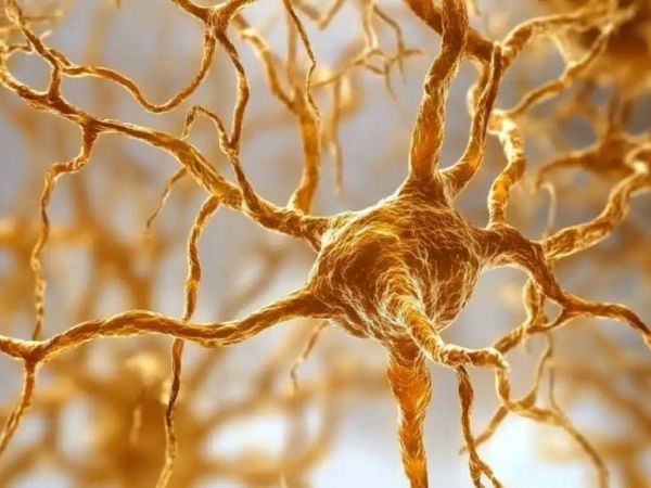IL FARMACO PIPE-307 RIGENERA LA MIELINA E SFIDA LA SCLEROSI MULTIPLA