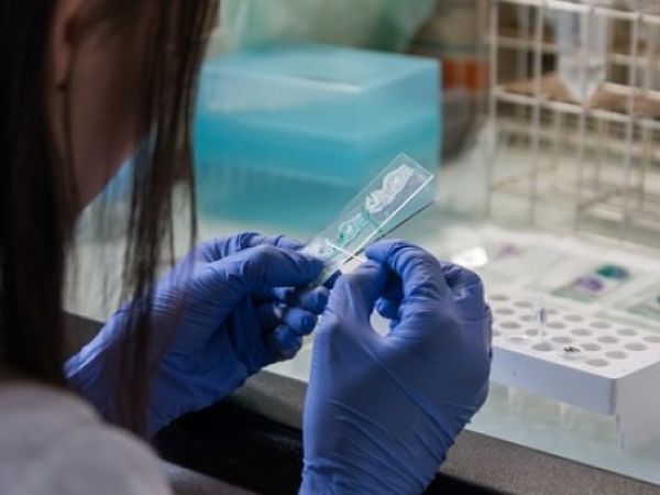 Cellule staminali: stimolazione wireless per rigenerare il midollo spinale